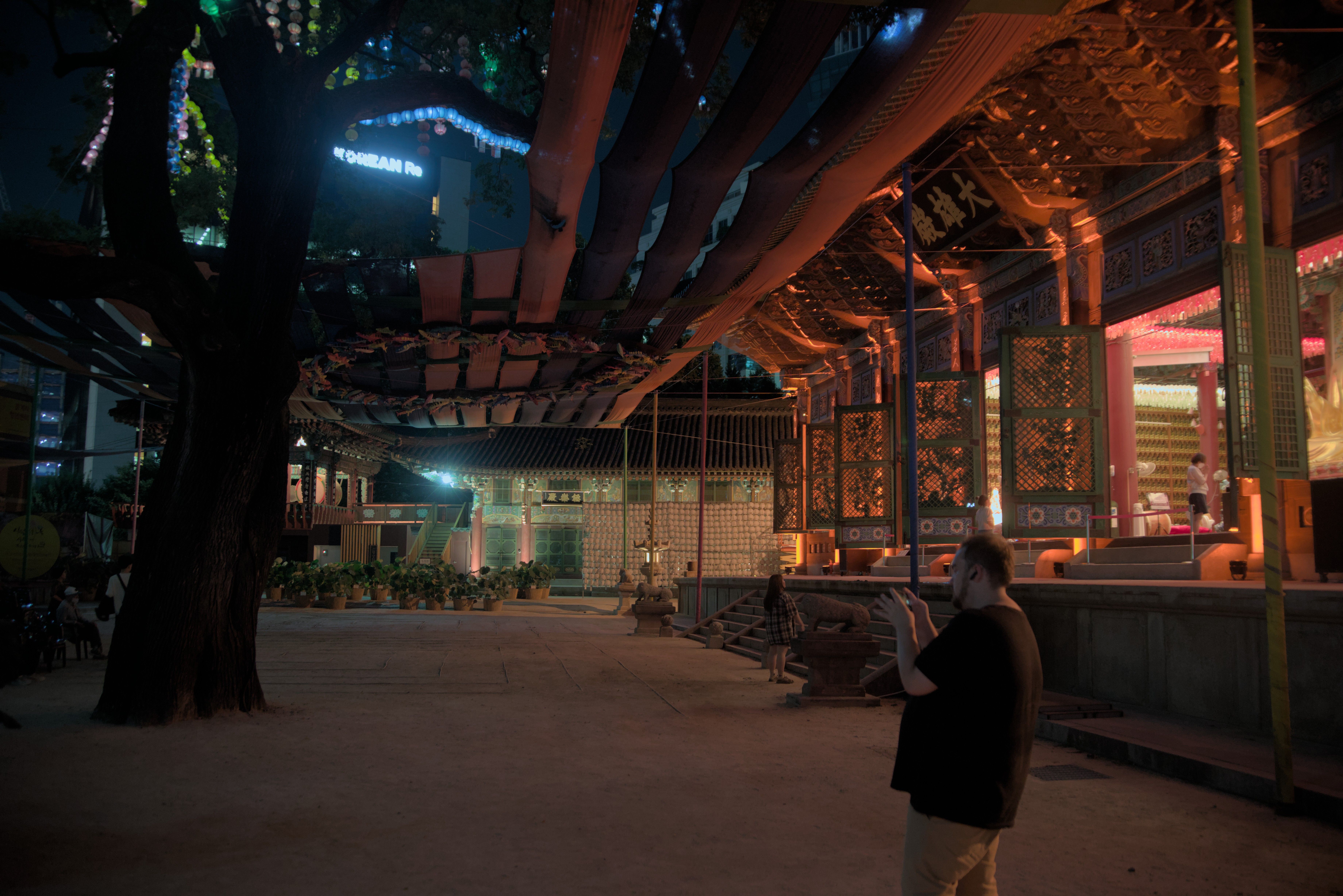 The front of Jogyesa temple with the beautiful wishing tree.